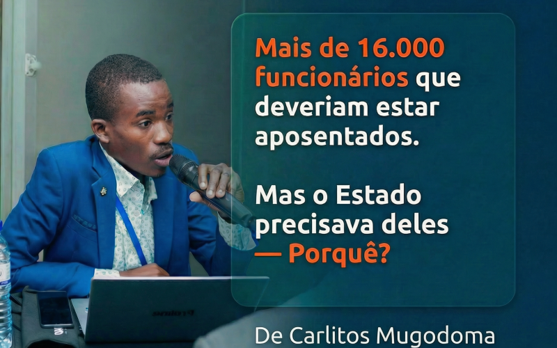 17.000 Funcionários que deveriam estar aposentados. Mas o Estado precisava deles — Porquê?: Uma Visão Análise Jurídica, Organizacional E Estratégica